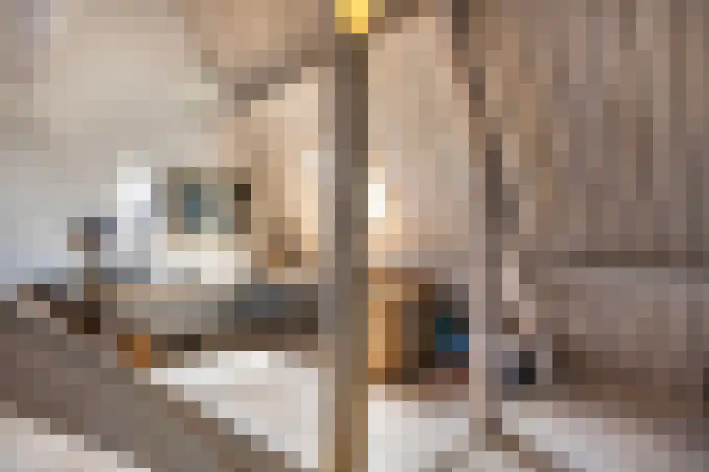 Abraham ten Catestraat 7 Borne thumbnail 28