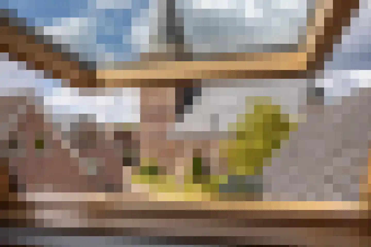 Abraham ten Catestraat 7 Borne thumbnail 30