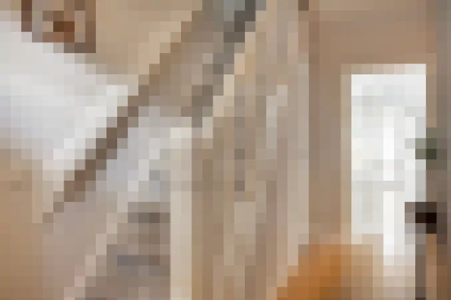 Abraham ten Catestraat 7 Borne thumbnail 6