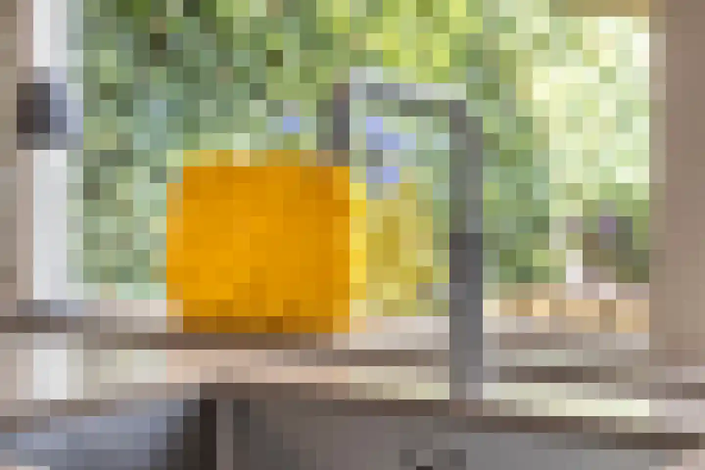 Abraham ten Catestraat 7 Borne thumbnail 9