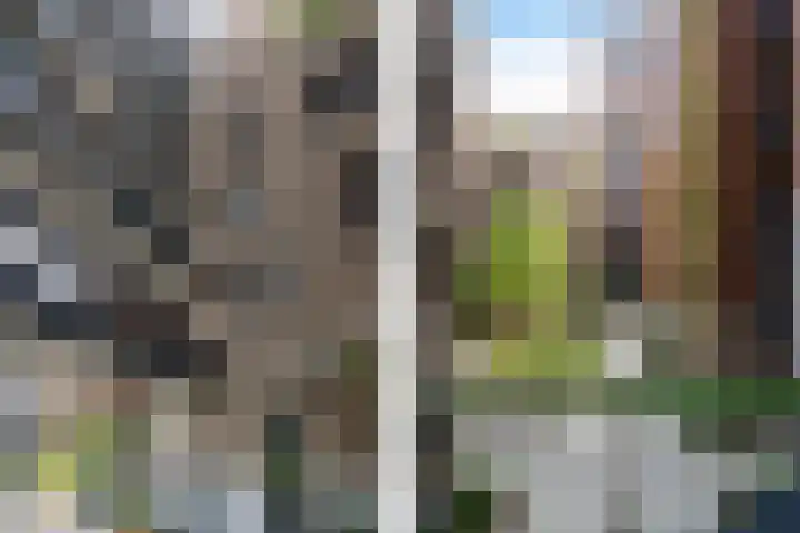Abraham Tuschinskistraat 57 Rotterdam thumbnail 8