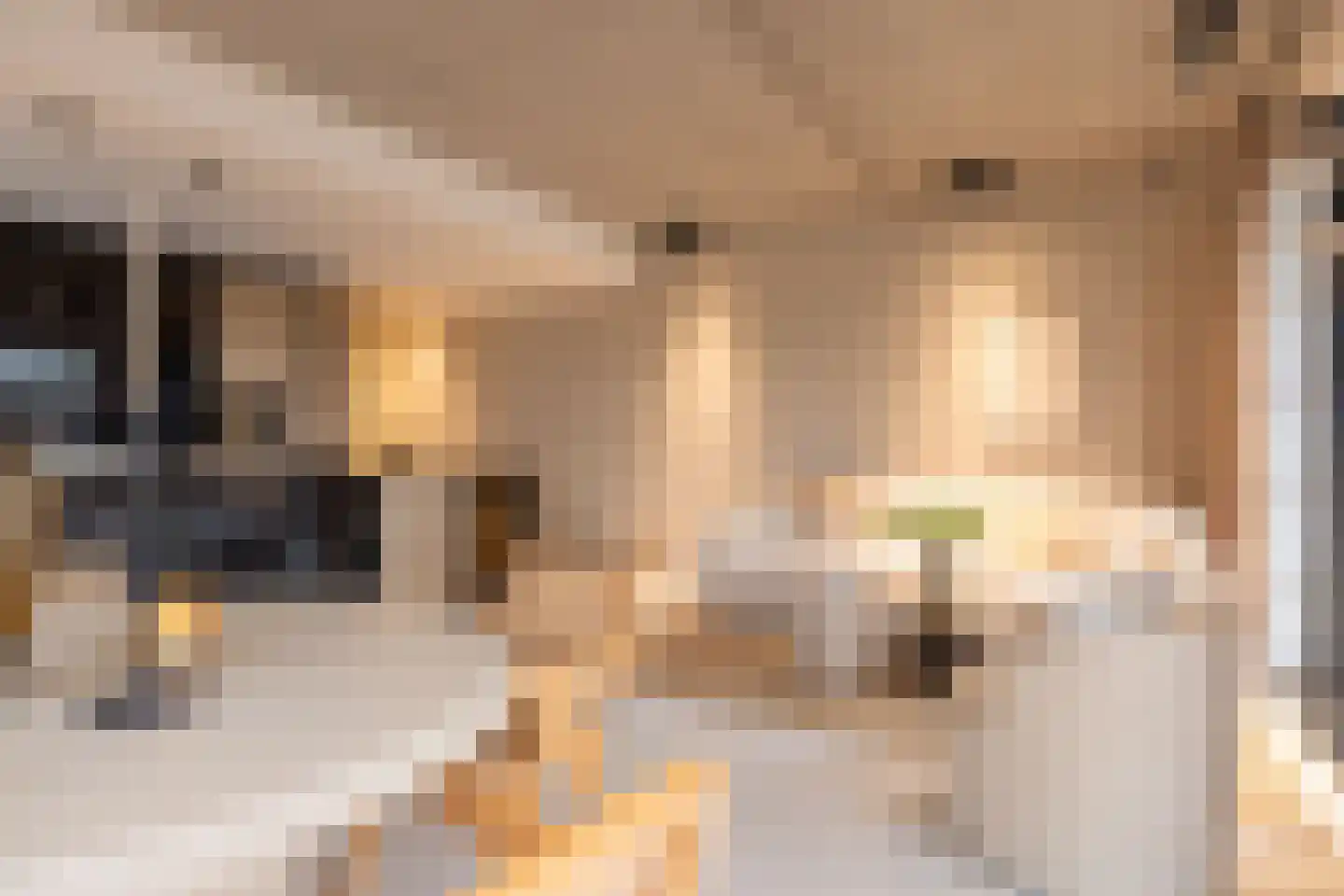 Abraham Tuschinskistraat 60 Rotterdam thumbnail 17