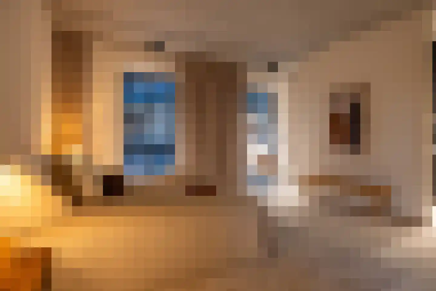 Abraham Tuschinskistraat 60 Rotterdam thumbnail 30