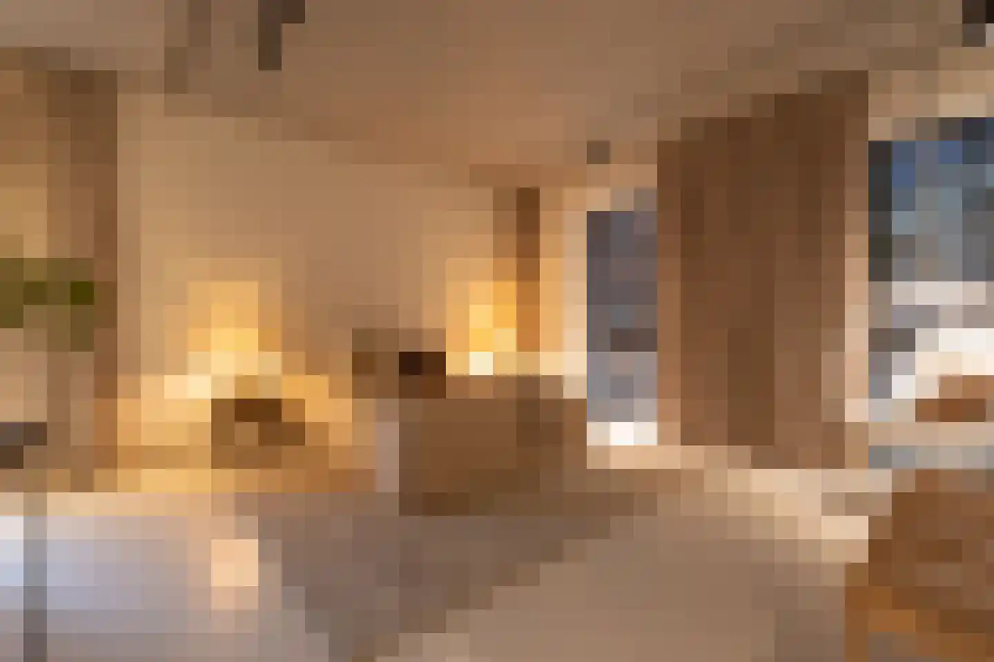 Abraham Tuschinskistraat 60 Rotterdam thumbnail 30