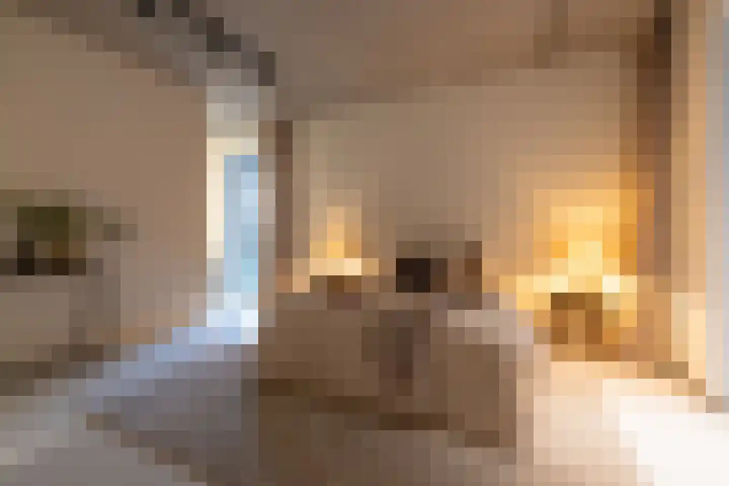 Abraham Tuschinskistraat 60 Rotterdam thumbnail 31