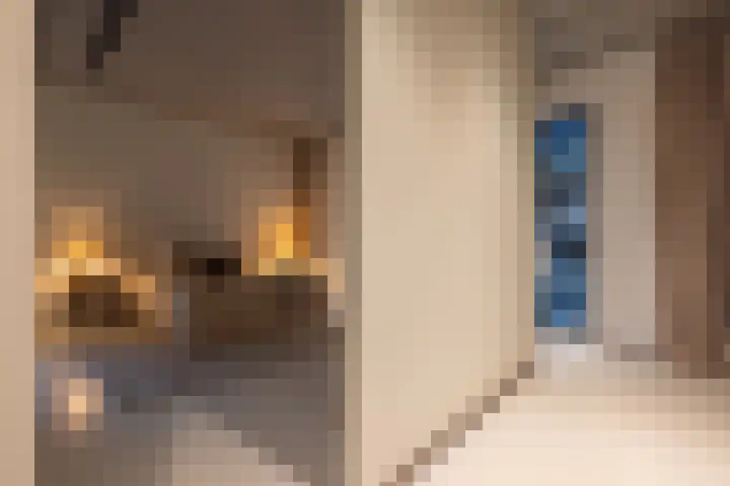 Abraham Tuschinskistraat 60 Rotterdam thumbnail 33