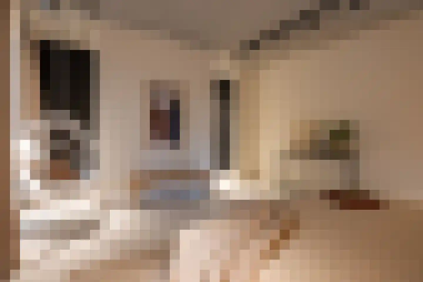 Abraham Tuschinskistraat 60 Rotterdam thumbnail 4