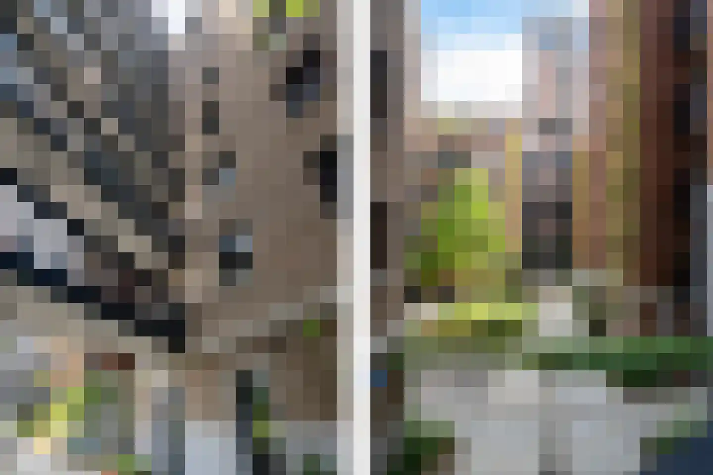 Abraham Tuschinskistraat 61 Rotterdam thumbnail 10