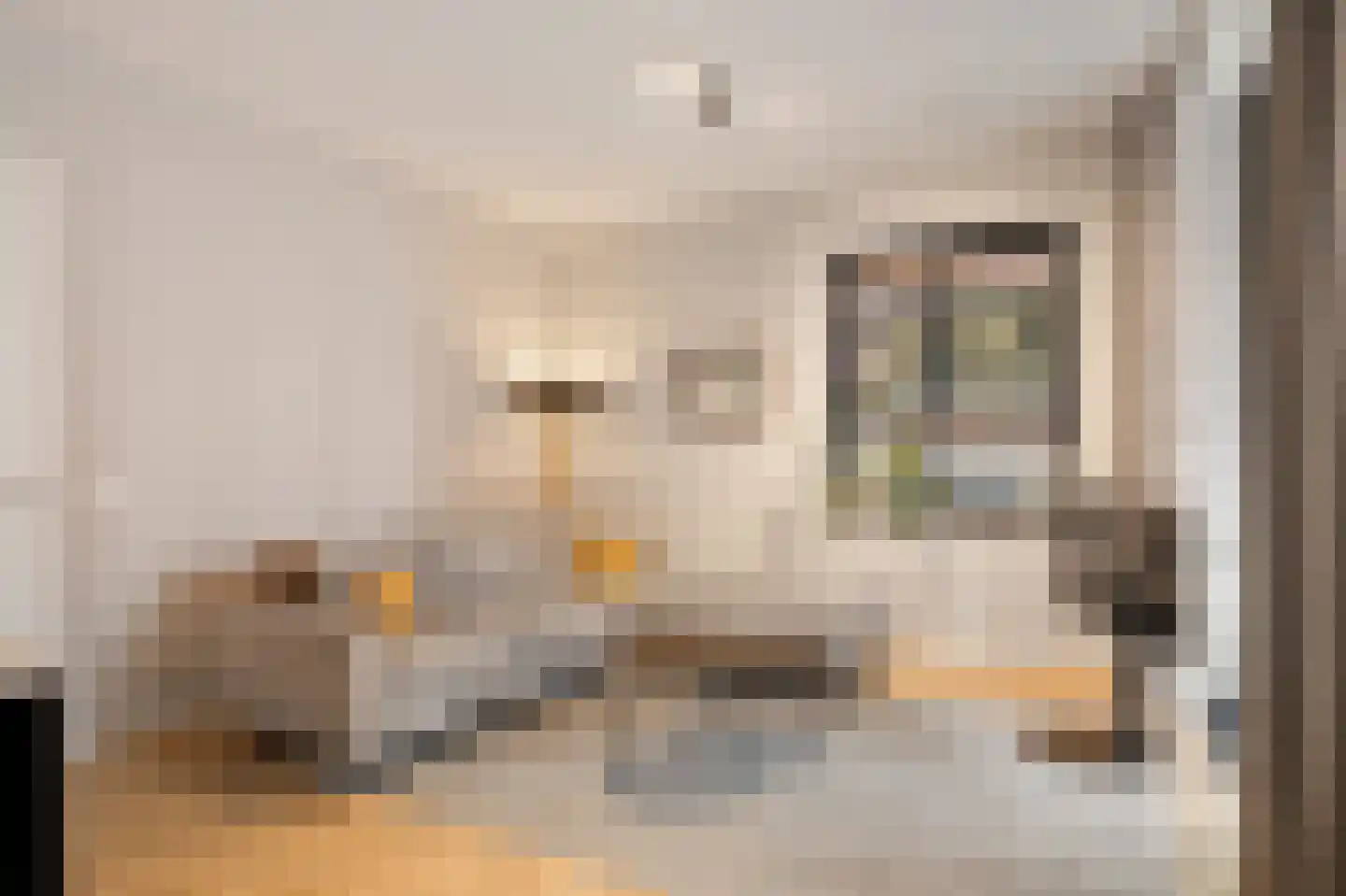 Abraham Tuschinskistraat 61 Rotterdam thumbnail 30