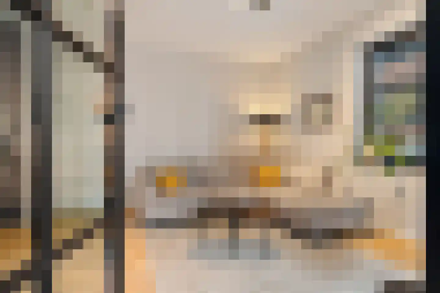 Abraham Tuschinskistraat 61 Rotterdam thumbnail 37