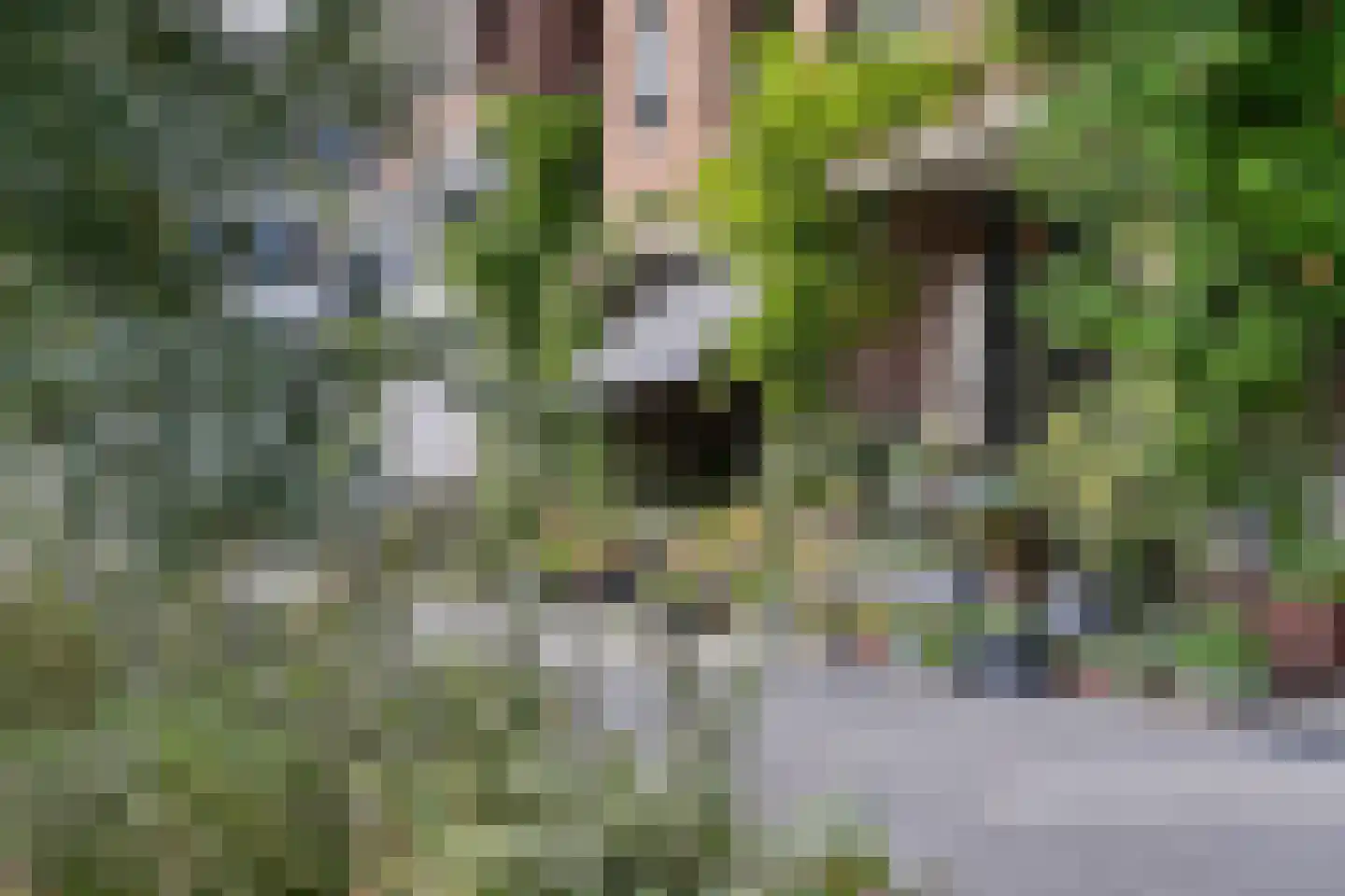 Abraham Tuschinskistraat 72 Rotterdam thumbnail 22