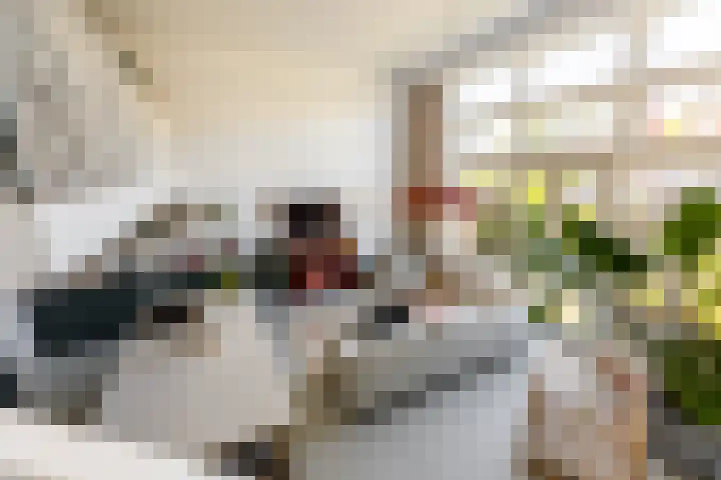 Abraham van den Boshof 4 Rotterdam thumbnail 21