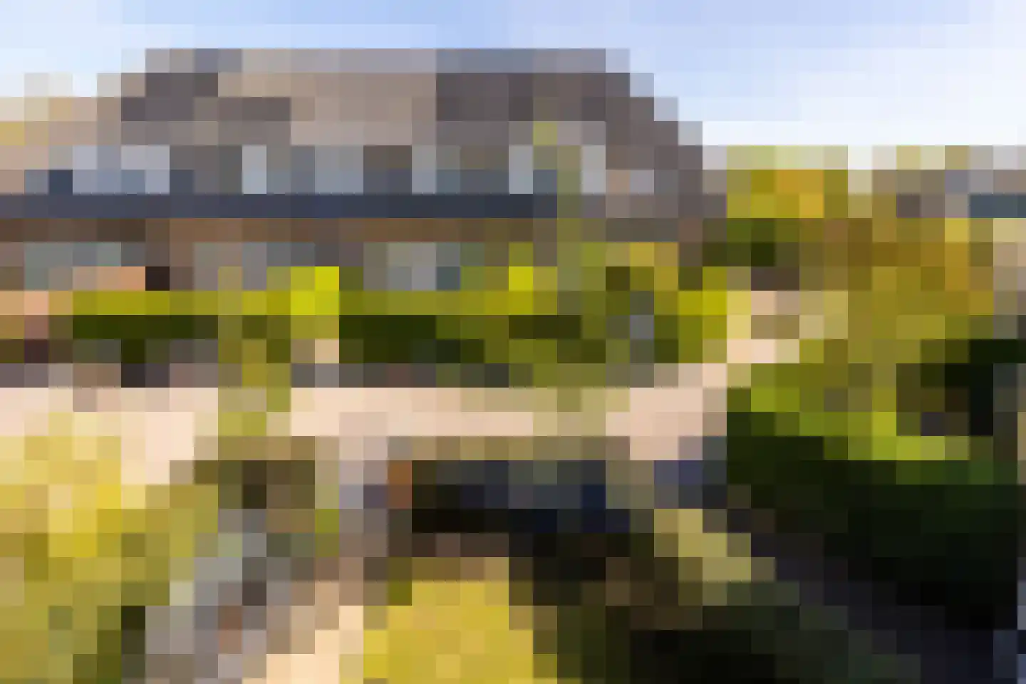 Abraham van den Boshof 4 Rotterdam thumbnail 28