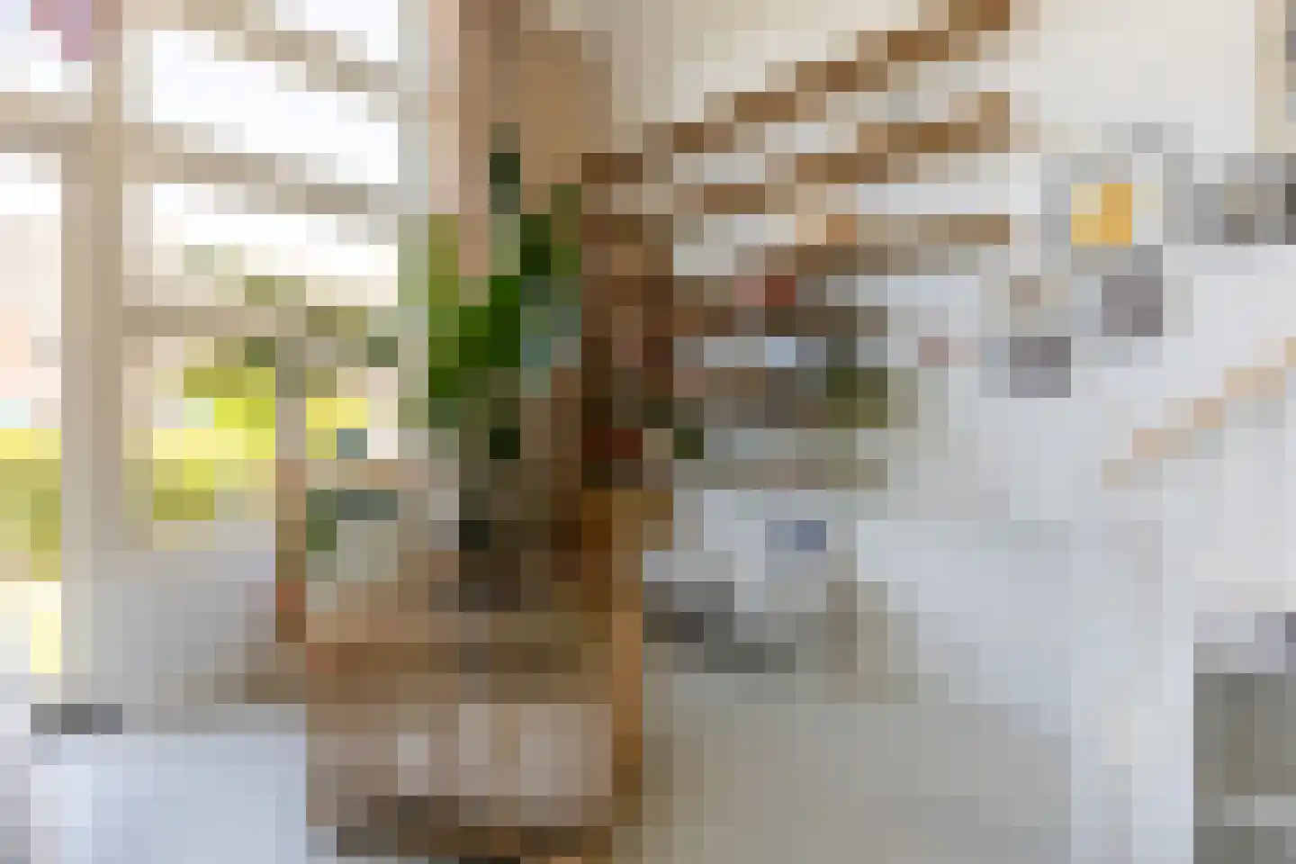 Abraham van den Boshof 4 Rotterdam thumbnail 8