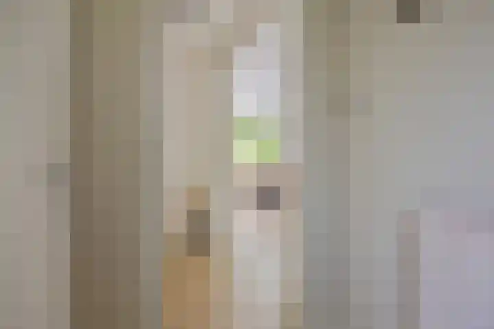 Abraham van der Hulstln 27 Bennebroek thumbnail 11