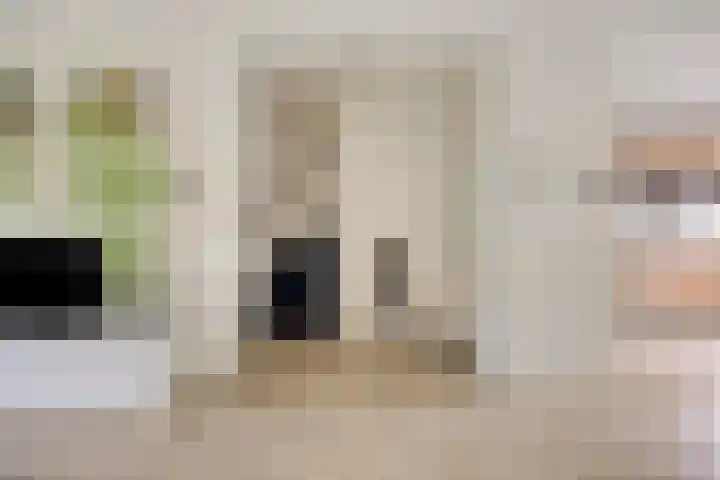 Abraham van der Hulstln 27 Bennebroek thumbnail 14