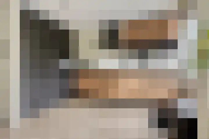 Abraham van der Hulstln 27 Bennebroek thumbnail 20