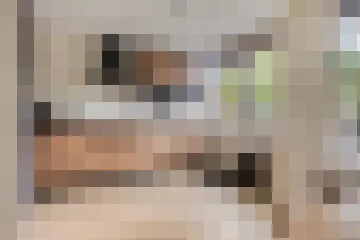 Abraham van der Hulstln 27 Bennebroek thumbnail 22
