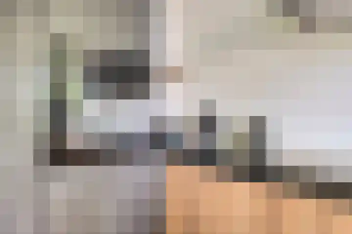 Abraham van der Hulstln 27 Bennebroek thumbnail 24