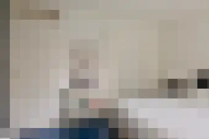 Abraham van der Hulstln 27 Bennebroek thumbnail 27