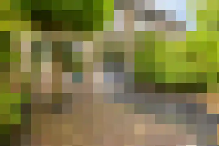Abraham van der Hulstln 27 Bennebroek thumbnail 47