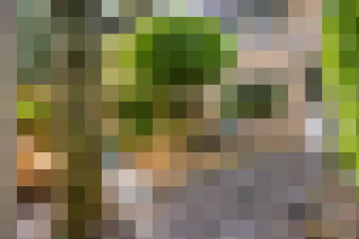 Abraham van der Hulstln 27 Bennebroek thumbnail 48