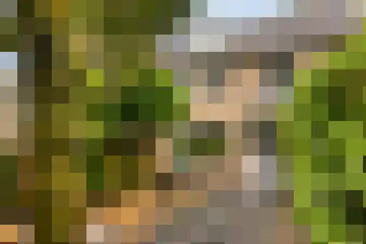 Abraham van der Hulstln 27 Bennebroek thumbnail 49