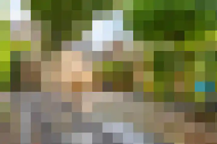 Abraham van der Hulstln 27 Bennebroek thumbnail 5