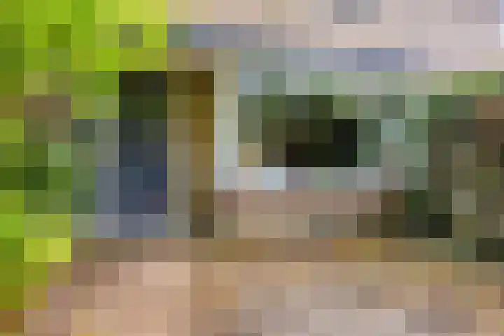 Abraham van der Hulstln 27 Bennebroek thumbnail 8