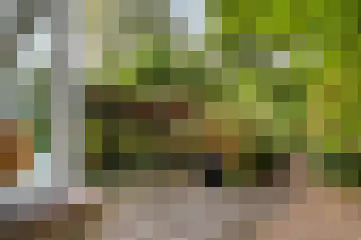 Abraham van der Hulstln 27 Bennebroek thumbnail 9