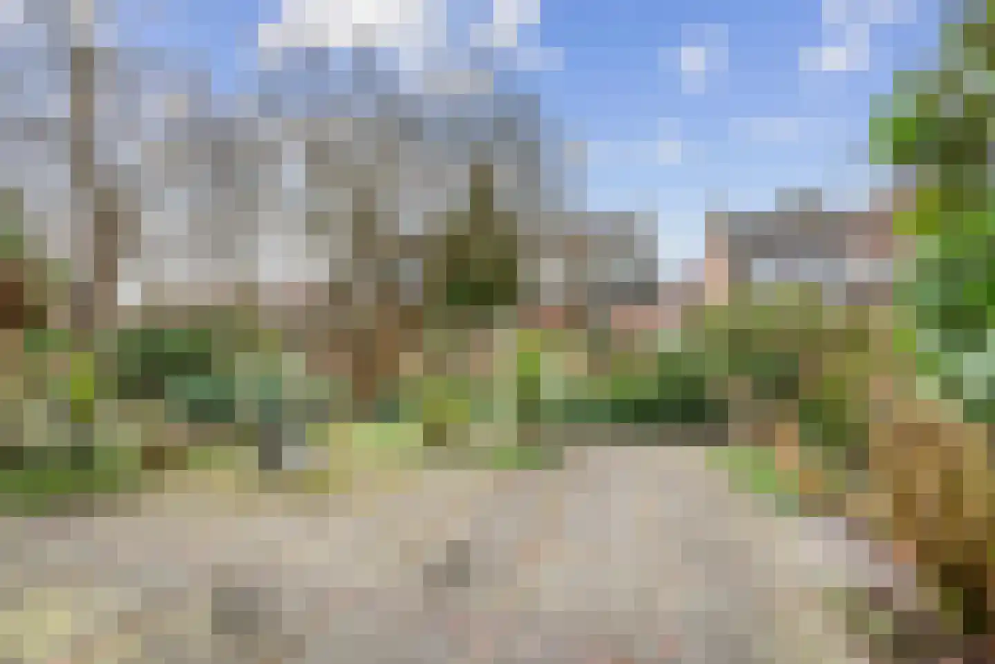 Abraham van der Hulstln 5 Bennebroek thumbnail 30