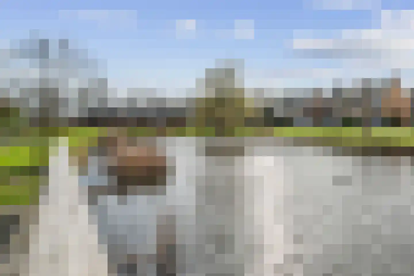 Abraham van der Hulstln 5 Bennebroek thumbnail 34