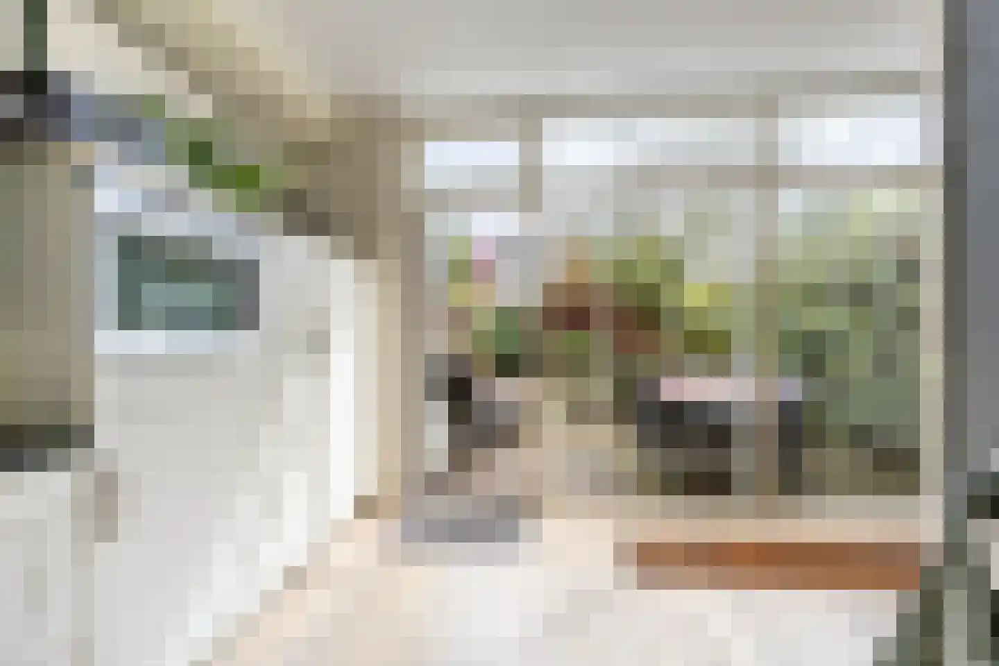 Abraham van der Hulstln 74 Bennebroek thumbnail 17