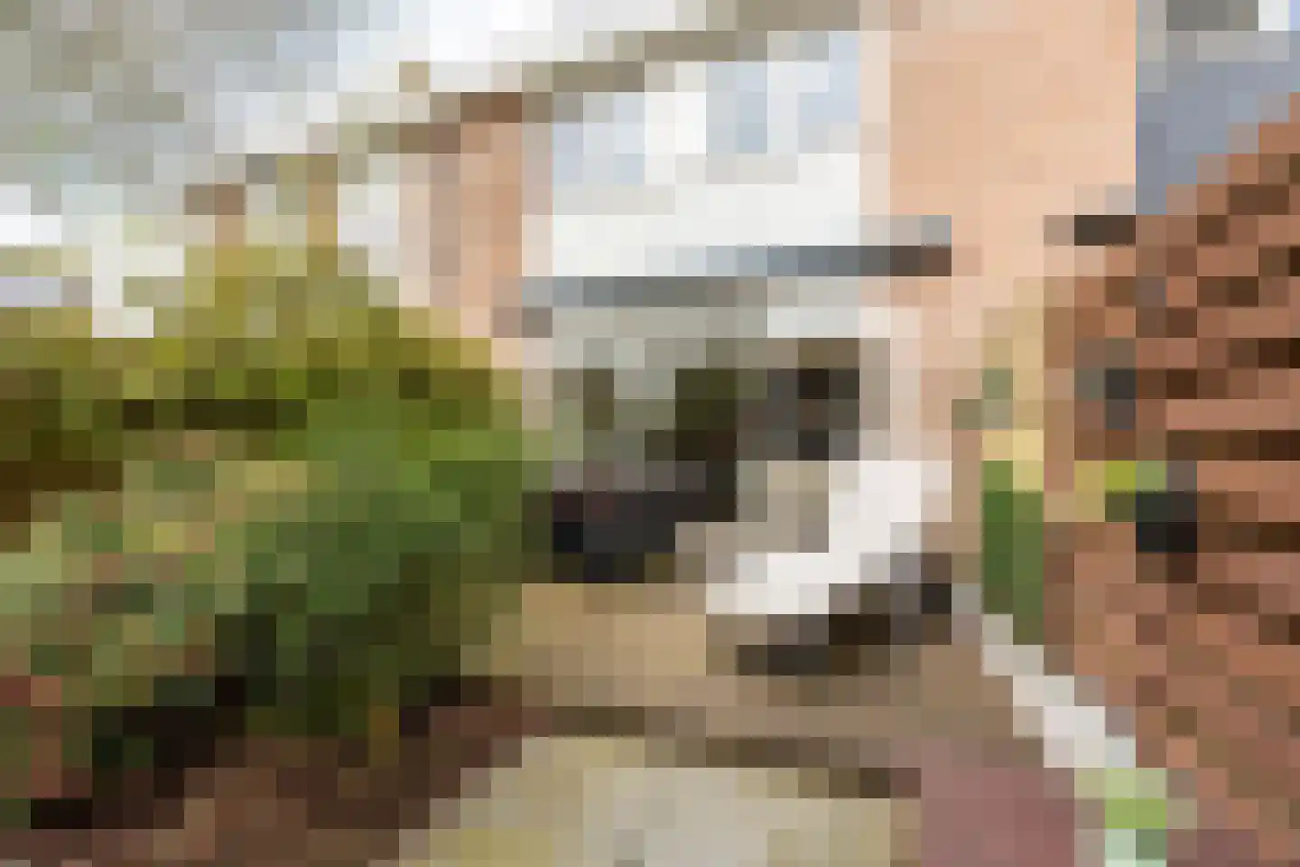 Abraham van der Hulstln 74 Bennebroek thumbnail 20