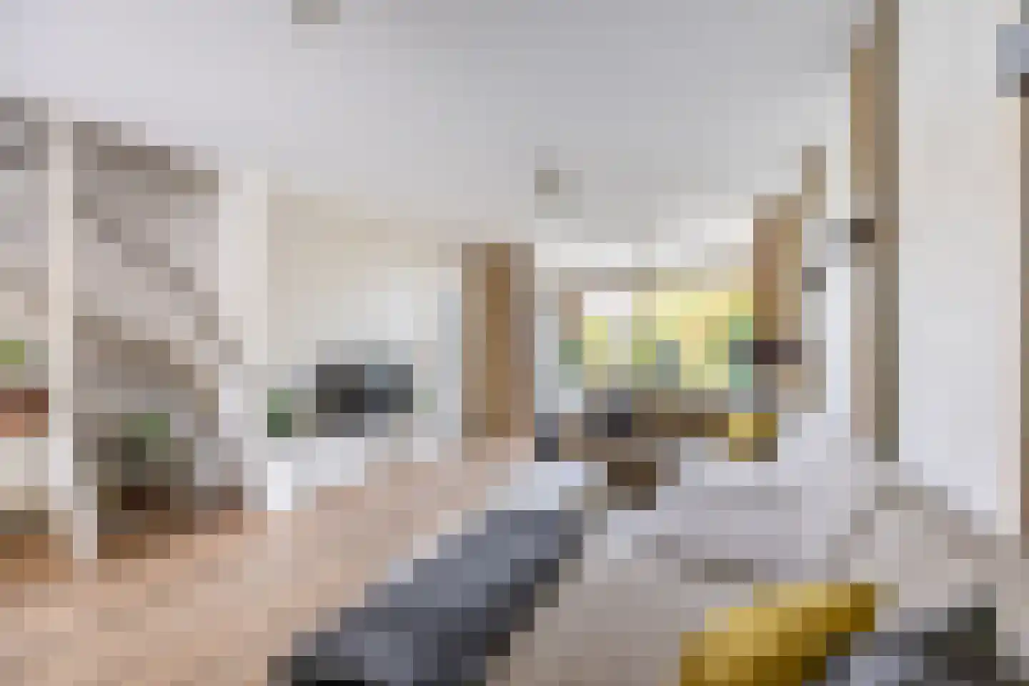 Abraham van der Hulstln 74 Bennebroek thumbnail 8