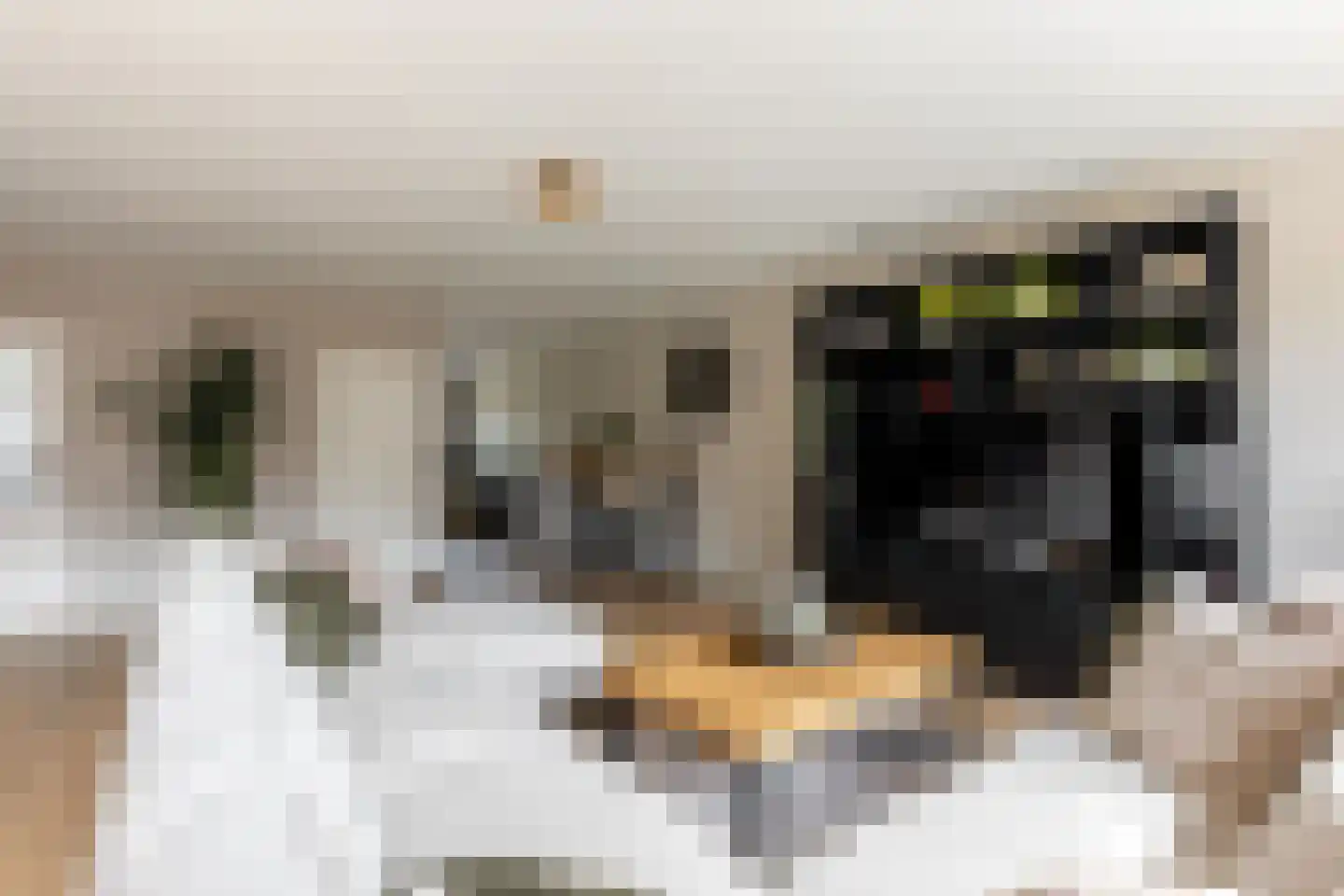 Abraham van der Hulststraat 7 Hellevoetsluis thumbnail 16