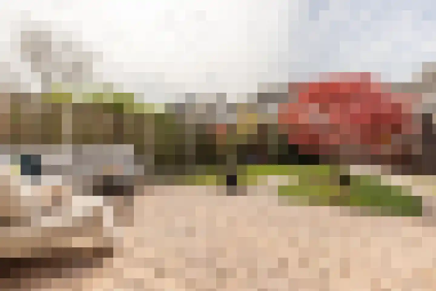 Abraham van der Hulststraat 7 Hellevoetsluis thumbnail 34