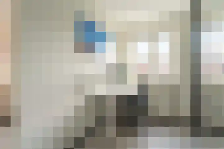 Abraham van Lindenstraat 11 Voorhout thumbnail 14