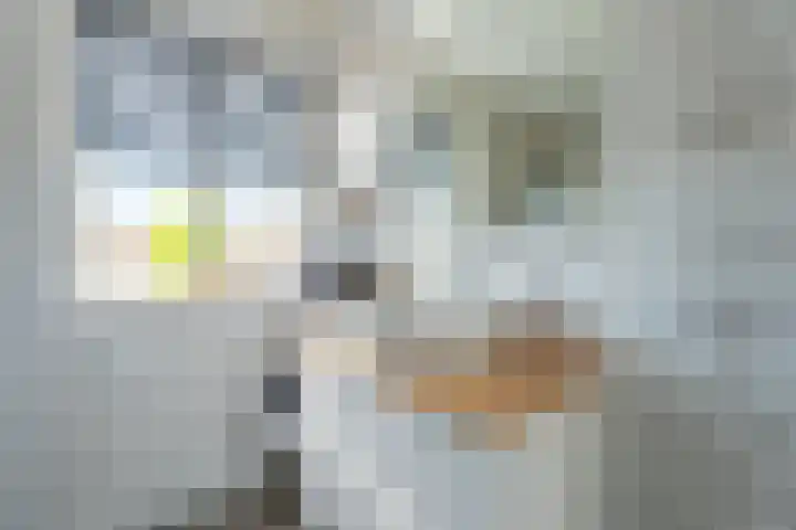 Abraham van Lindenstraat 11 Voorhout thumbnail 19