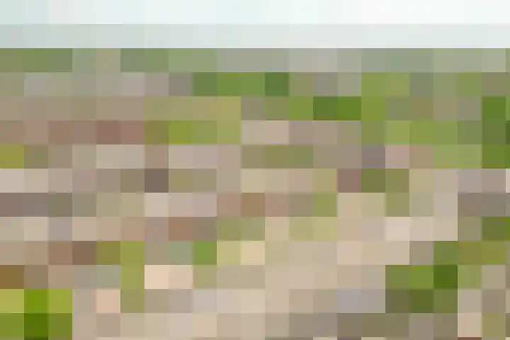 Abraham van Lindenstraat 11 Voorhout thumbnail 27