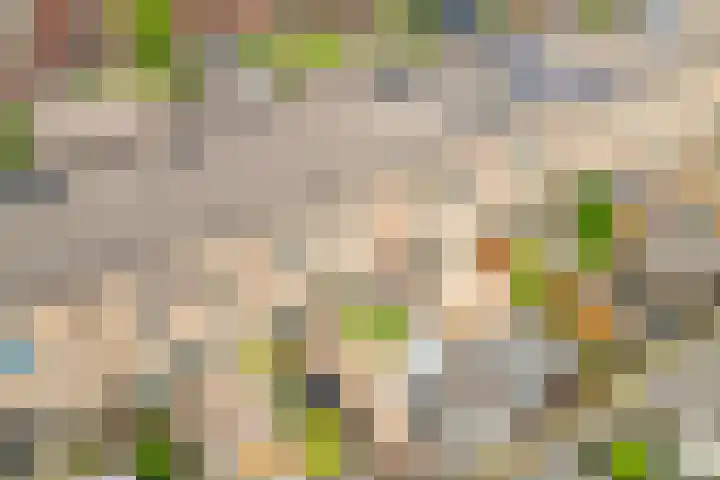 Abraham van Lindenstraat 11 Voorhout thumbnail 28