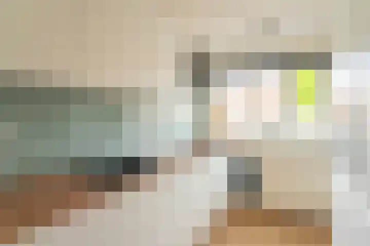 Abraham van Lindenstraat 11 Voorhout thumbnail 7