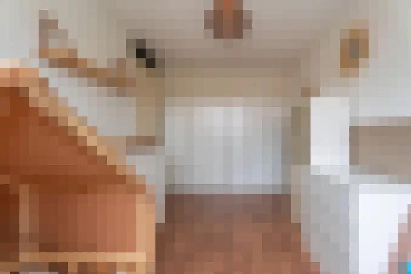 Abraham van Lindenstraat 5 Voorhout thumbnail 18