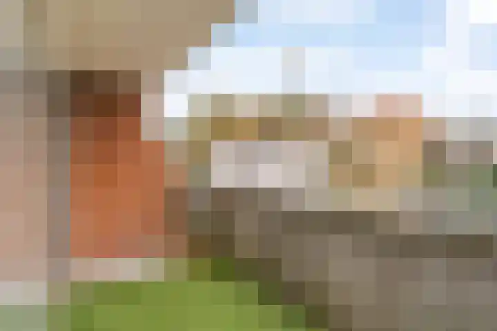 Abraham van Royenstraat 100 Noordwijk thumbnail 19