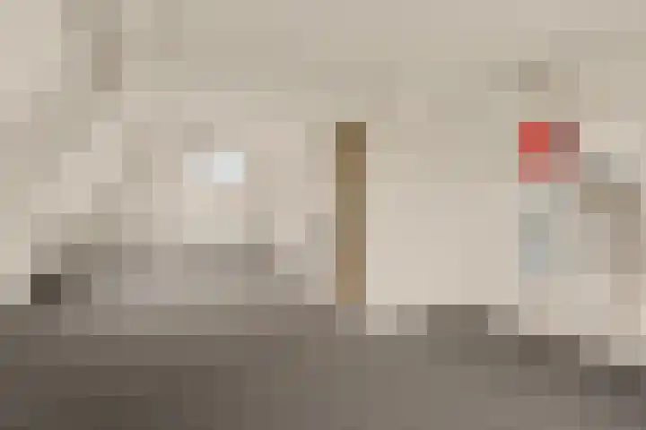 Abraham van Royenstraat 100 Noordwijk thumbnail 30