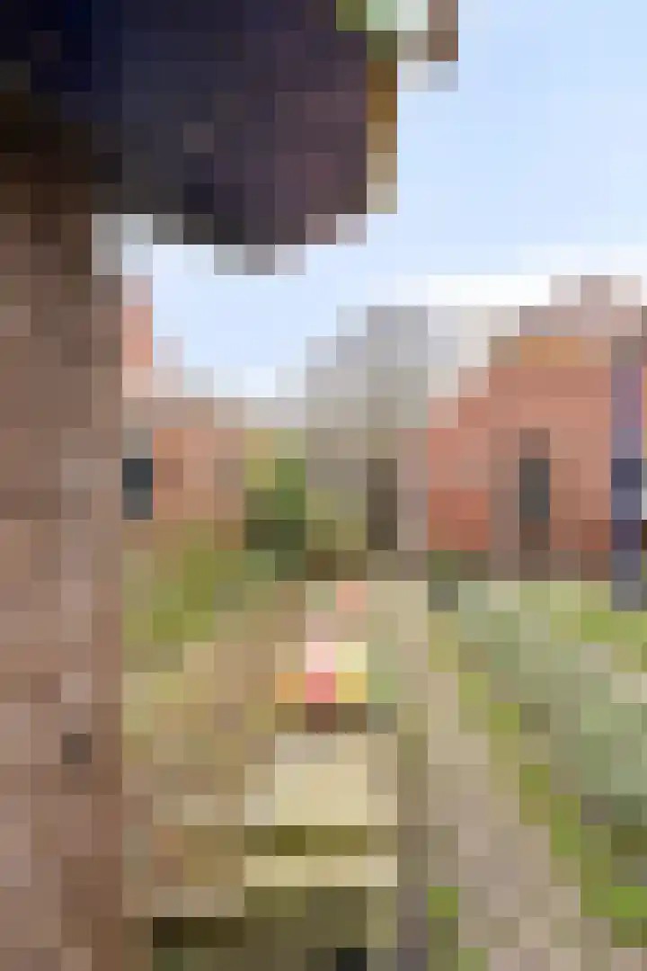 Abraham Westersstraat A 166 Nieuwe Pekela thumbnail 24