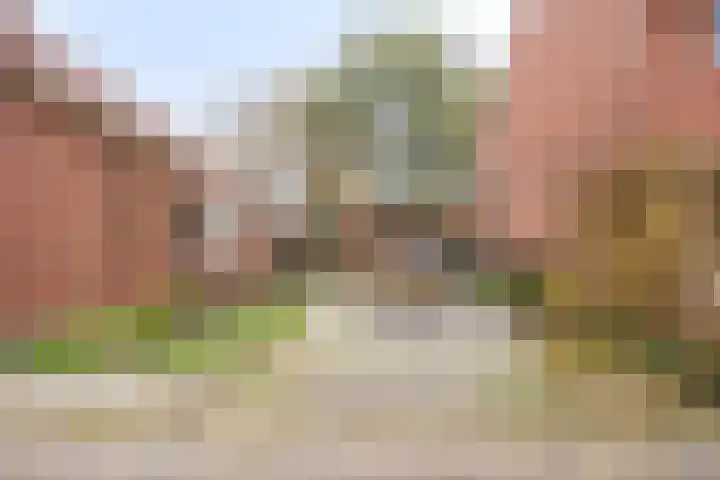 Abraham Westersstraat A 166 Nieuwe Pekela thumbnail 5