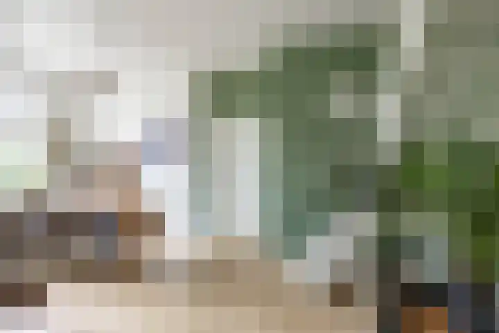 Abraham Westersstraat A 25 Nieuwe Pekela thumbnail 14