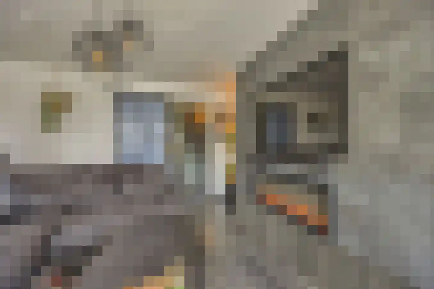 Abraham Westersstraat A 9 Nieuwe Pekela thumbnail 15