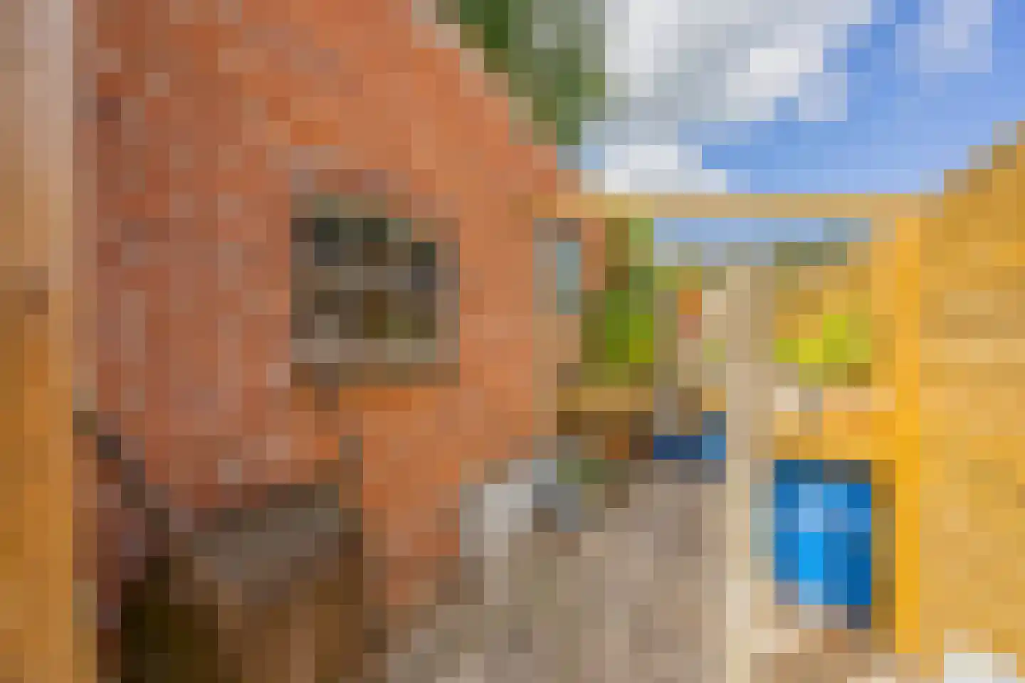 Abraham Westersstraat A 9 Nieuwe Pekela thumbnail 54